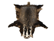 Dachsschwarte Dachsfell Öko in Mv gegerbt LARP Fell Dachs