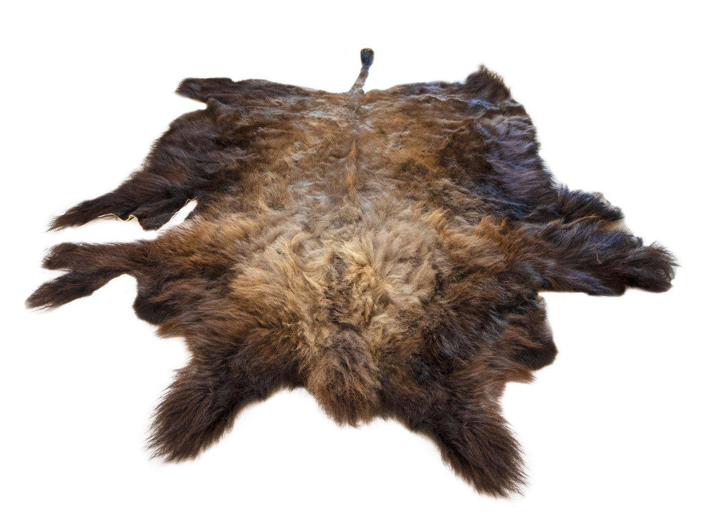 Bisonfell Wisentfell Büffel Bison Indianer Fellteppich 250x180 cm