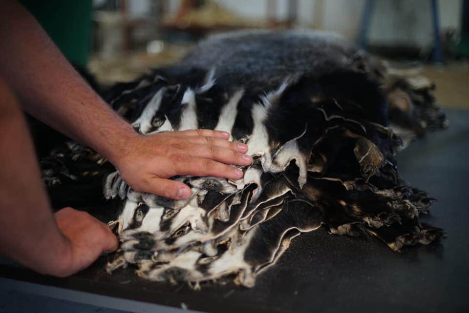 Dachsschwarte Dachsfell Öko in Mv gegerbt LARP Fell Dachs